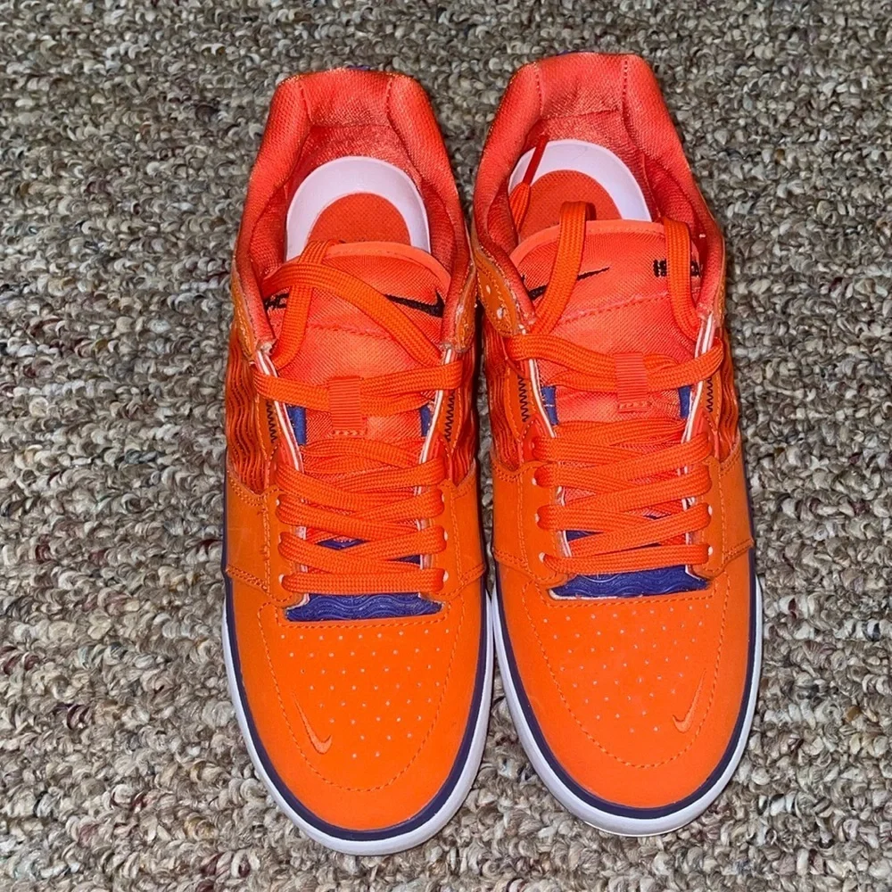 Unisex New Nike SB Ishod Wair Premium Shoes